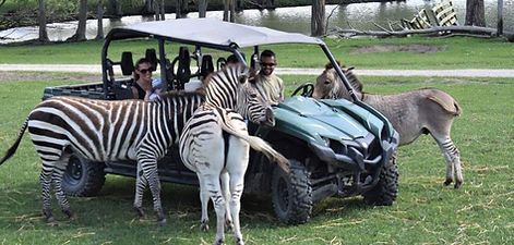 Off Road Adventure.jpg