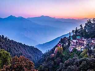 almora_1553512273.jpeg_w=414.jpeg