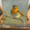 Thumbnail: Singing Robin on a branch in morning light bird art oil painting by artist Jenny Berry
