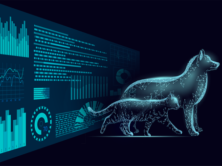 The Future of Automated CBC Analysis - Digital Holographic Microscopy