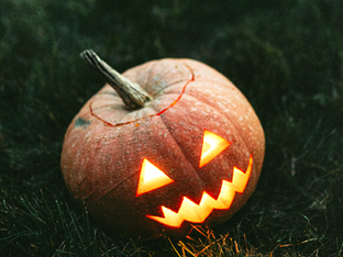 Our Film and Song Recommendations, Your Spooky Season