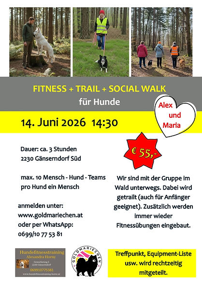 2 Fitness Trail.jpeg