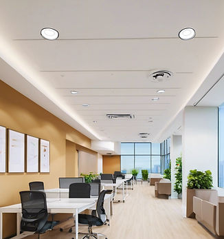 Interior Commercial Office painting of w