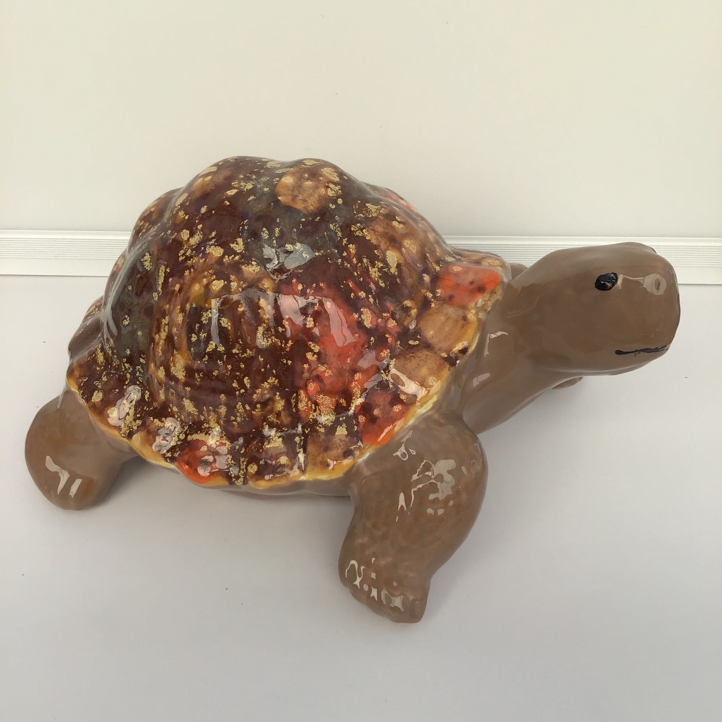 Large Tortoise