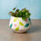 Thumbnail: FLORA VASE