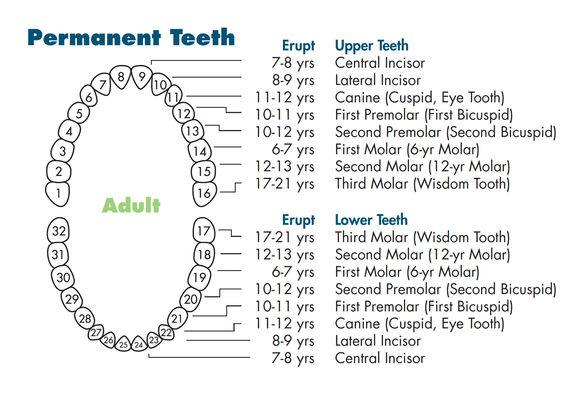 permanent.gif