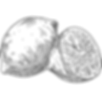 Design sem nome (3).png