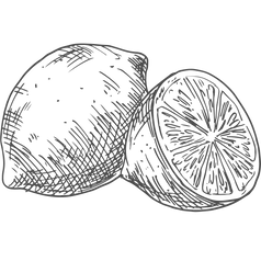 Design sem nome (3).png