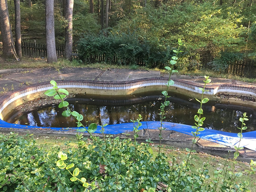 Unused swimming pool