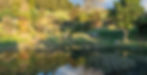 Natural pond at Spring Creek Reserve Karangahake