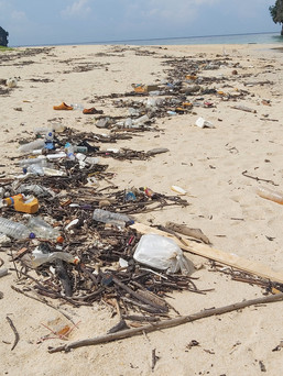 Rubbish and plastic washed up on beach