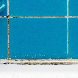 BathroomGenie-silicone mould.jpg