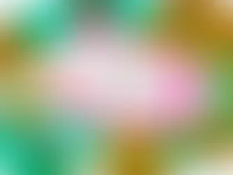 The Bumblebee life cycle