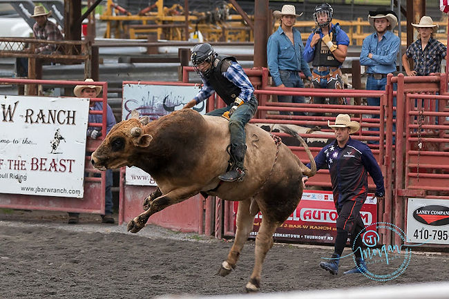J Bar W Ranch - Battle of the Beast