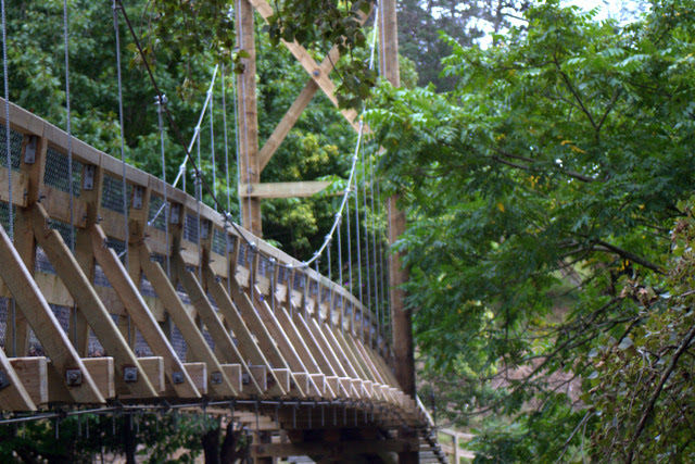 Wooden bridge at Karangahake Gorge