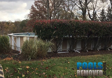 Old above ground swimming pool