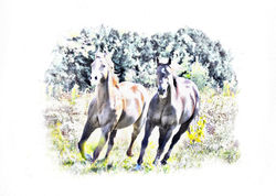 ZenPhotographics Greeting Cards 12