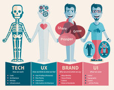UX vs UI Infographic