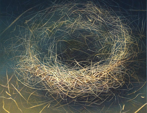 HANNA KAY: "FORCE OF NATURE"