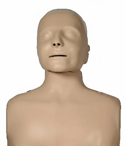 Manikin on white background.png