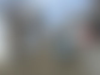 Sharing the new house for the 1st time with granddaughters