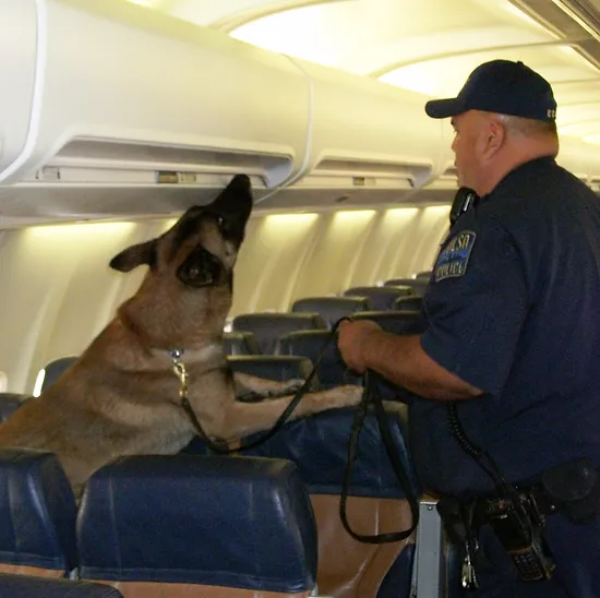 Tulsa_Police_K-9_Bomb_Unit.webp