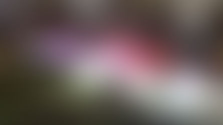 Tulsa shooting leaves 2 dead, 3 injured