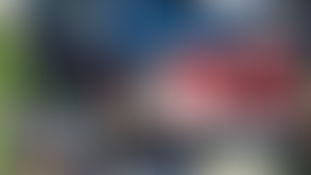 Dog calendar supports K9s of Oklahoma Task Force-1