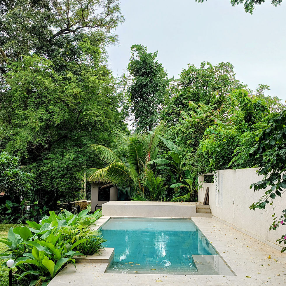Lush garden with a serene swimming pool.