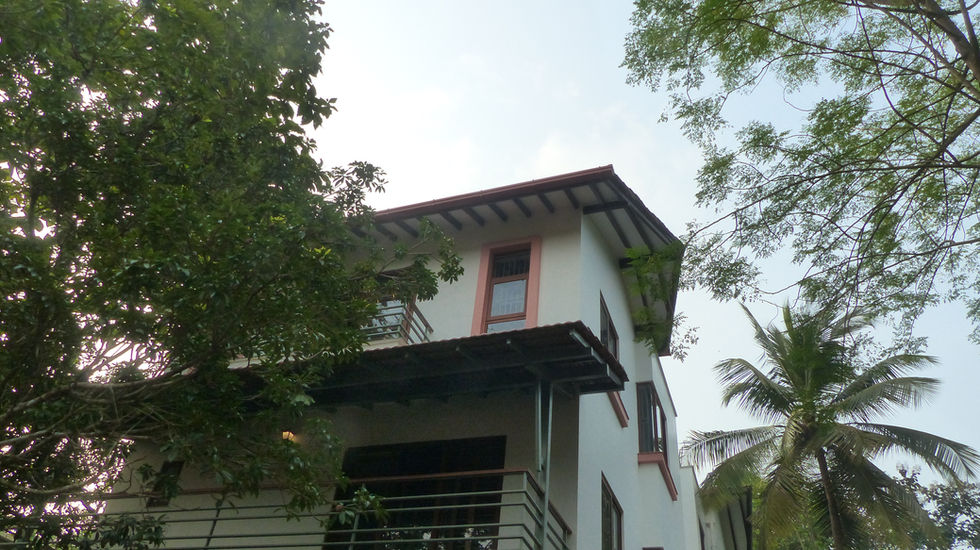 Sloping roof of house with trees in the background.