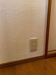 IMG_1924.jpeg