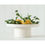 Thumbnail: Display Tray ( Cream )                  35x35x14.5cm