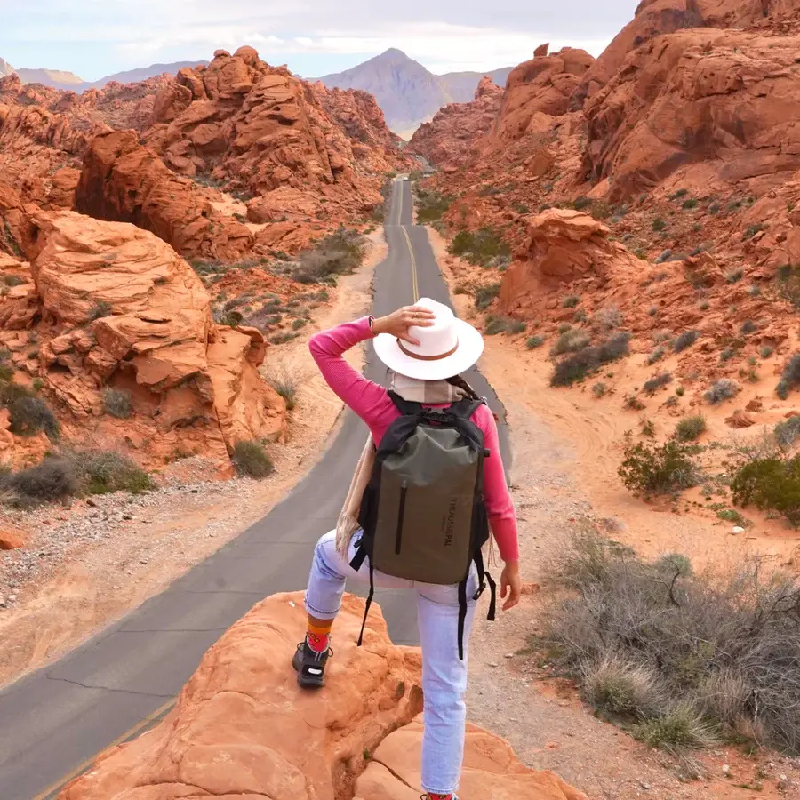 Thumbnail: Insulated Cooler Backpack 20L                               Green