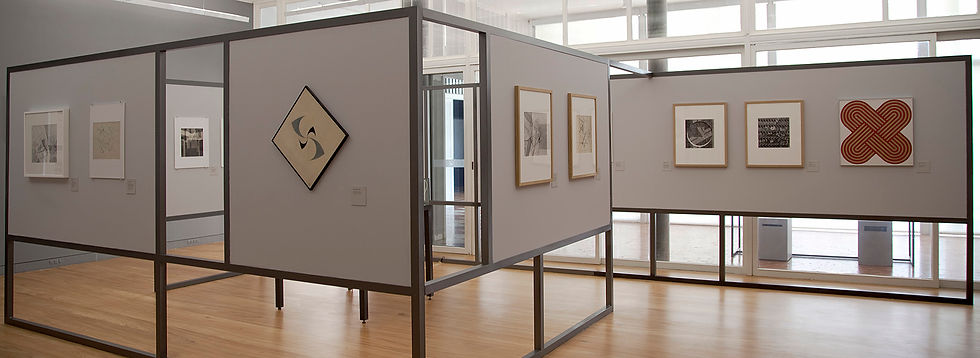 Identidade Visual Projeto Expositivo