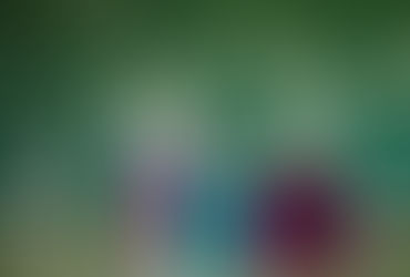 ការបញ្ចេញមតិទៅលើវីដេអូគីមីវិទ្យា Feedback on Chemistry Videos