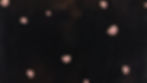 WEB-BKG2.jpg