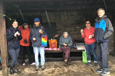 Volunteers have been doing a great job in the last few months!