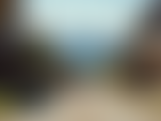 Leveraging Local Social Media Trends for Success