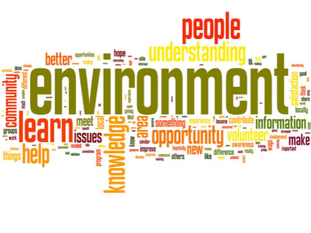 Marble Jar Gang Career Counseling: Environment