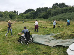 Hendre Lake Hay Rake Volunteer Event Sat 25th April 2026 10.00am - 12.00pm followed by Bioblitz 1.00pm - 3.00pm