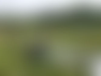 Hendre Lake Hay Rake Volunteer Event Sat 25th April 2026 10.00am - 12.00pm followed by Bioblitz 1.00pm - 3.00pm