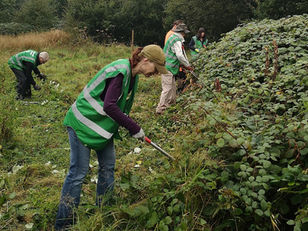 Volunteer Event Hendre Lake                 Sat 13th September 2025 10.00am - 12.00pm