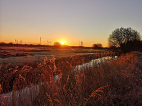 Hendre Lake Wildlife Walk Sat 10th January 2026 8.00am - 9.45am