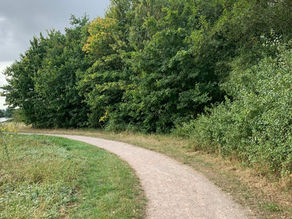 Volunteer Event Hendre Lake Sat 16th August 2025 10:00 am - 12:00 pm