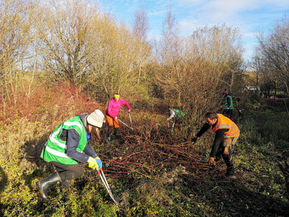 Hendre Lake Volunteer Event Sat 25th April 2026 10.00am - 12.00pm