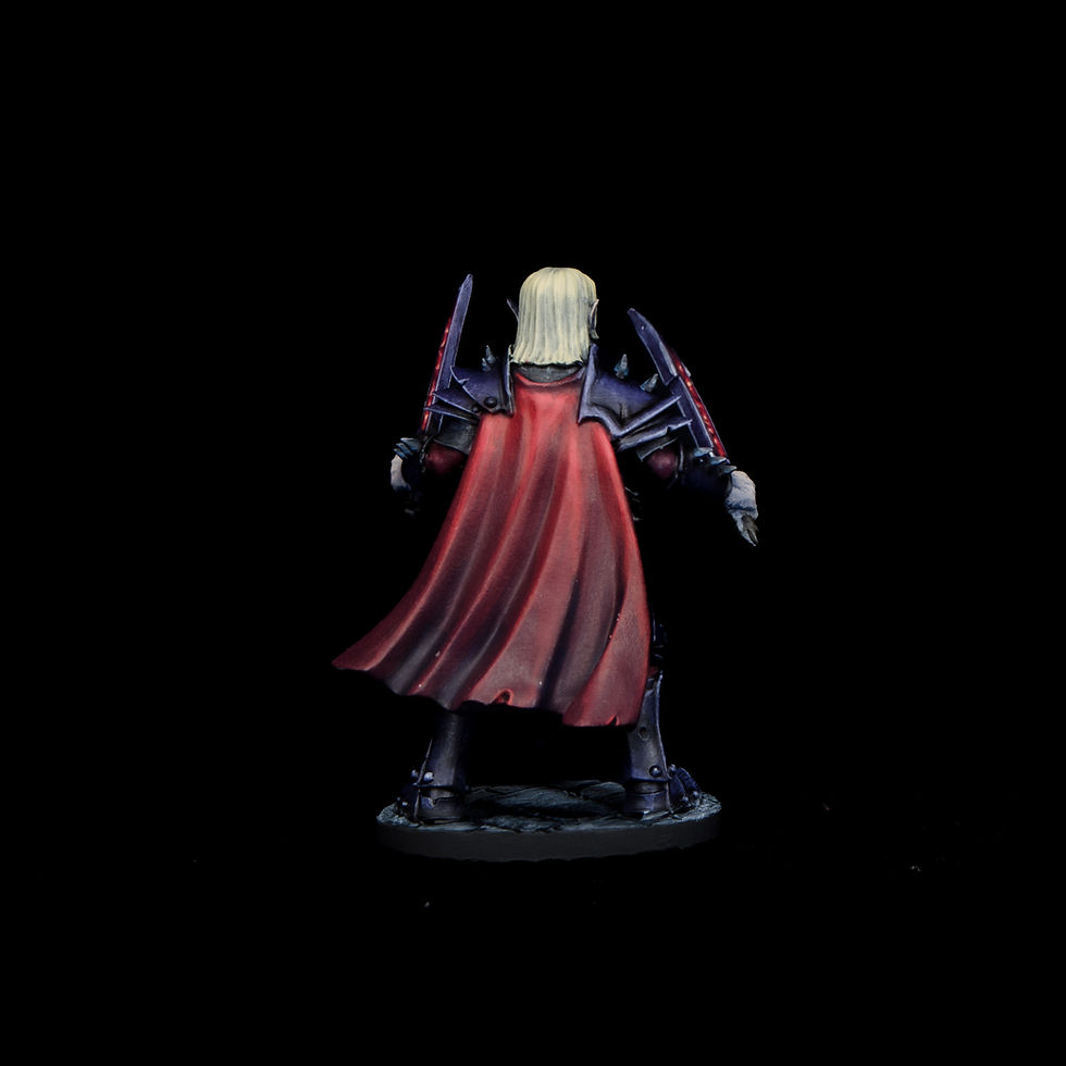 Thumbnail: Dark Elf Anti Paladin