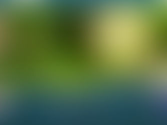 Palestra Pública