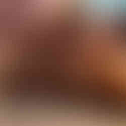 oscar's pizza meatball ricotta