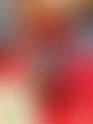 Ursula plum sour beer