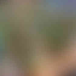 close up of chicken tikka toppings